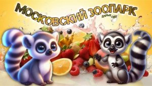 Забавные лемуры. Проказники с полосатыми хвостами. Московский зоопарк. Лето 2025