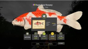 СУПЕР ТОЧКИ С КОИ И МЕГАФАРМОМ НА МЕДНОМ И КАРТОЧКА КОИ В РУССКОЙ РЫБАЛКЕ 4 РР4