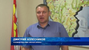 На территории Воронежской области продолжает действовать особый противопожарный режим