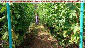 Обращение к подписчикам Ютуба -будьте добрее.