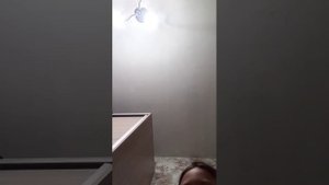 французский бульдог