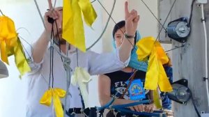 Санкт-Петербургский Лаврский звон