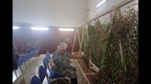 Волонтёры-Новские пчёлки 2025 г.