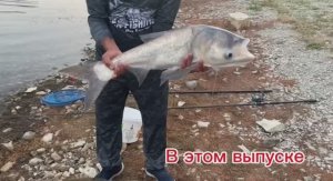 Поймали два больших толстолобика!Жарим мясо на озере, завоз прикормки на сазана карповым корабликом