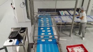 Линия чиабатта Turri (Италия) полный аналог Rheon (Япония)