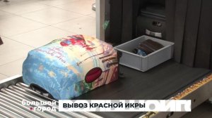 ВЫВОЗ КРАСНОЙ ИКРЫ. Большой город 06/08/2025