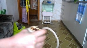 Когтеточка для кота своими руками