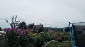 Наконец-то купила удобрение для голубики.🫐🫐