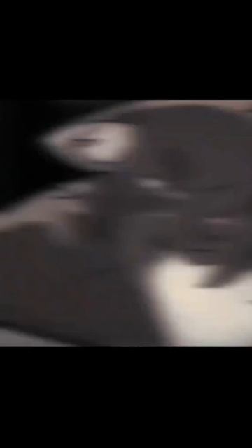 Это когтегрив и голубка? смотреть онлайн