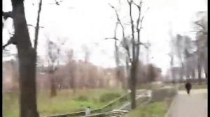 А я думала сова