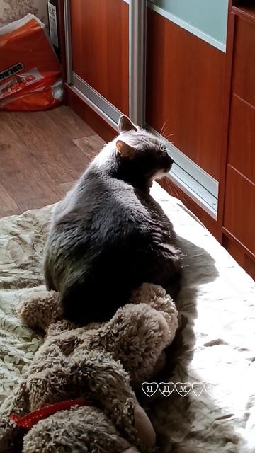 Задал вопрос Коту. Ответ четкий и короткий. Москва 03.08.2025 (16:46).