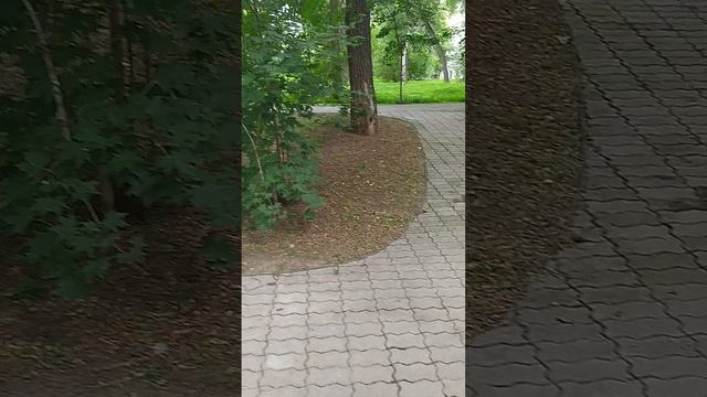 Что определяет развитие твоей Судьбы по худшему среднему или лучше у Пути?