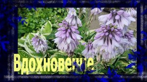 Что нас вдохновляет?.. #болталкаподвязание