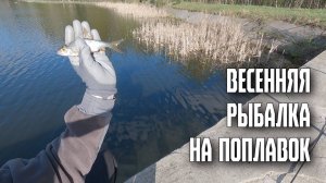весенняя рыбалка на поплавочную удочку