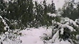 Зимне-летний день: Снегопад в Верхнем Тагиле 6 июня 1995 года