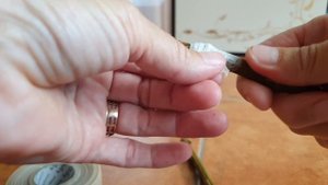 Графт филм. Graft film. Прививочная лента