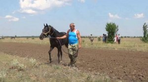 Церемония награждения победителей скачек в станице Кумылженской