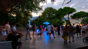 ОТДЫХ на МОРЕ с СОБАКОЙ / ДИСКАЧ В ЯЛТЕ / АВГУСТ 2025