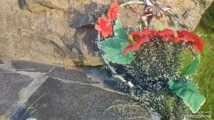 на речке памятник