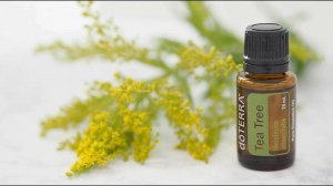 Эфирное масло doTERRA Чайное дерево и эко уборка