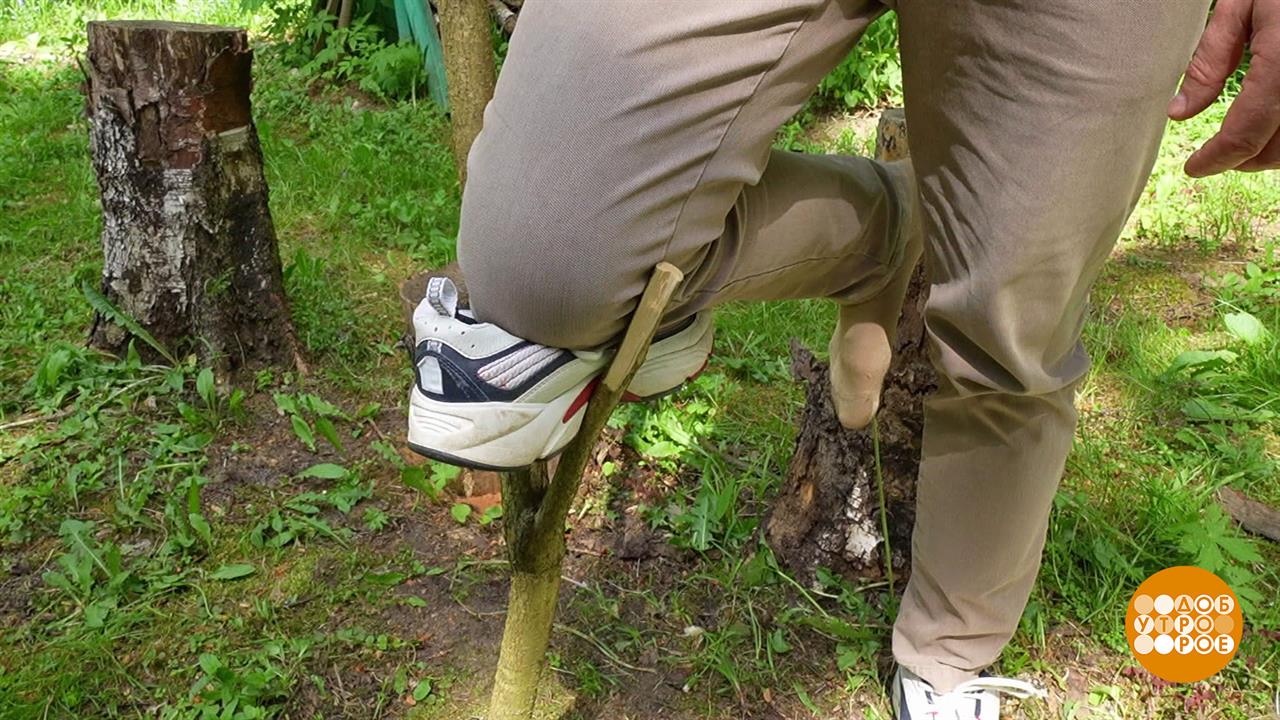 Подвернули ногу: что делать? Доброе утро. Фрагмент выпуска от 06.08.2025