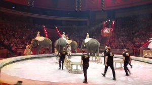 Большой Московский Государственный Цирк и 100рия