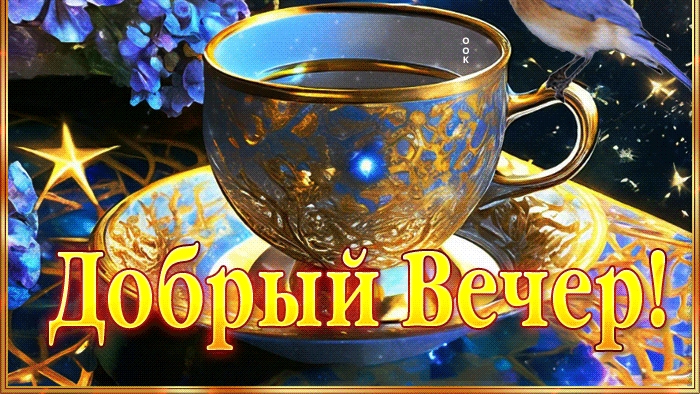 Добрый вечер🌙 ✨✨✨