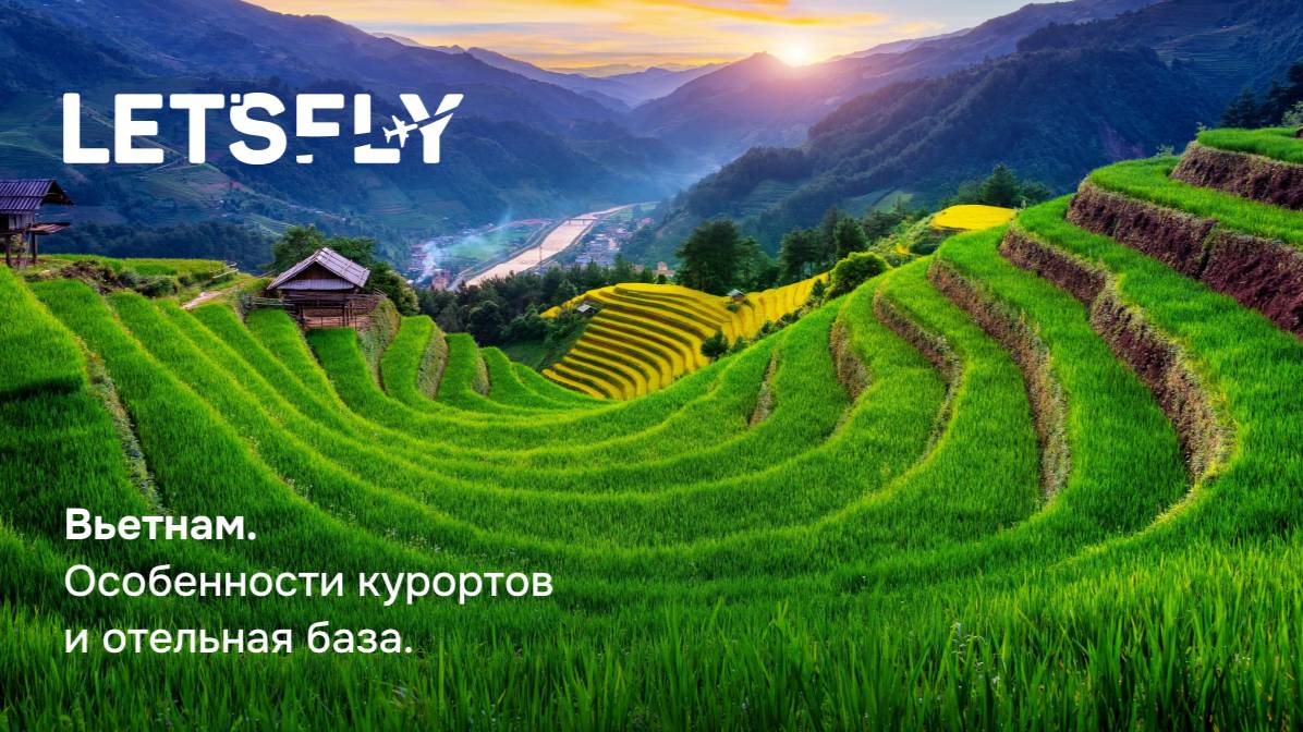 Вьетнам: особенности курортов и отельная база. Вебинар 06.08.25 смотреть онлайн