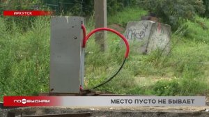 Мигранты сдавали полученные в аренду места на ярмарках в Иркутске другим предпринимателям