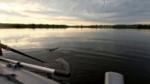 рыбалка 05.08.25. опять про....))) трофея