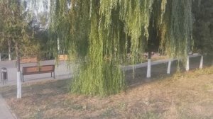 Ярослав Сумишевский-Не гаснет свет