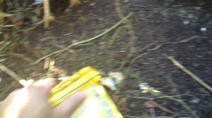 Кормление курочек 6 августа 2025