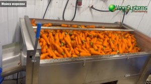 Моечно-очистительная машина Vega F1800 I Мойка