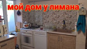 Мой дом у лимана. Александровка, еду на массаж. Вкусняшки для Вари и Барона. Как там в Рошале?