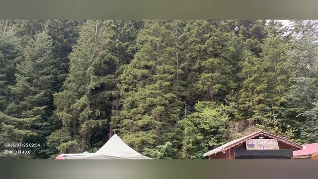 Турция Трабзон смотреть онлайн