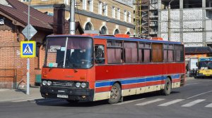 Автобус Икарус 250.59(К 239 РЕ 22)Покатушки/The last surviving bus is Ikarus 250.59 A trip to Altai