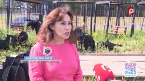 От музея "Семёнково" убрали мангалы