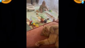 Он у меня за спиной? Да💀