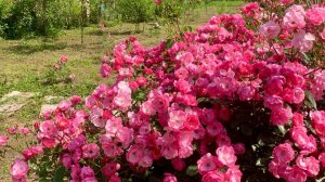 Дом на юге России