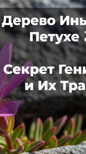 Дерево Инь на Петухе | Знаменитости