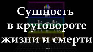 🧠 Познавательное. Документальный фильм "Сущность в круговороте жизни и смерти". Рекомендую!