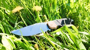 Ничего подобного нет за его стоимость Rapax Buddy #survival #fishing #unboxing #knife #edc #hunting