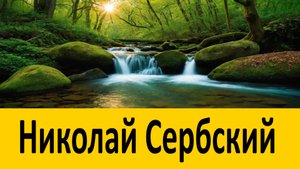 Никогда Не делайте этого для СВОИХ ДЕТЕЙ!  Николай Сербский