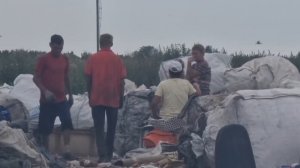 Мусорная катастрофа