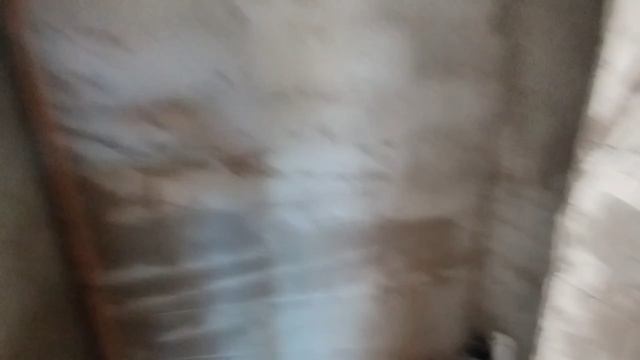 video5231362469670188003