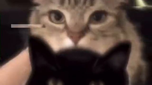 ооо смотреть онлайн