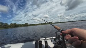 РЫБА В КАДРЕ