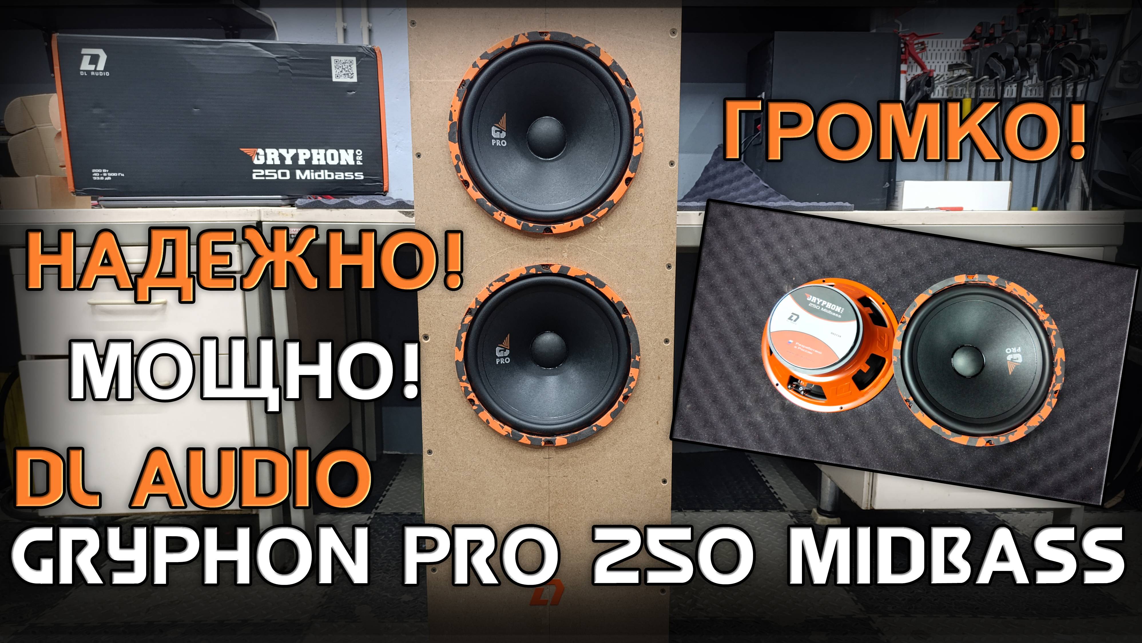 Ультра громкие и мощные эстрадные динамики DL Audio Gryphon Pro 250 Midbass смотреть онлайн