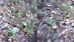 Поездка на квадрокоптере в городе Перми