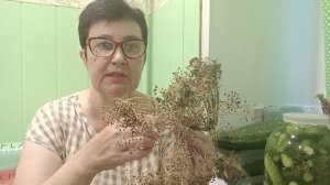 Ждите новый рецепт вкусных Огурцов. Наши новости.